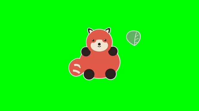 Cute Cartoon Red Panda Character Animation Isolated on Green Screen Background for Video Projects