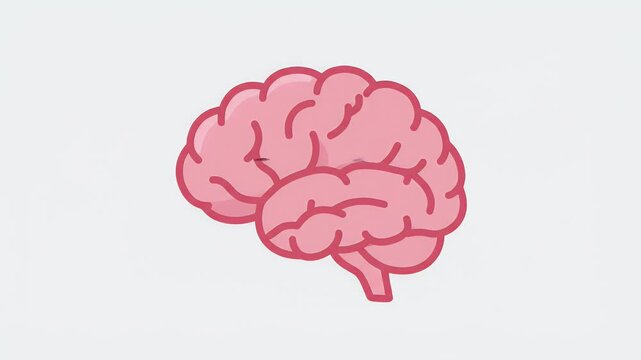A simplified pink brain illustration with a dark line on the surface