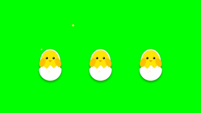 Cute Cartoon Yellow Chicks Hatching from White Egg Shells Animated Against Green Screen Background