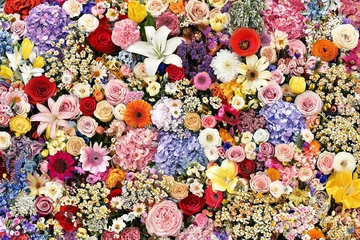 Abundant floral background with hundreds of blooming colorful flowers, dense summer bouquet pattern with rose and hydrangea wallpaper © Yan