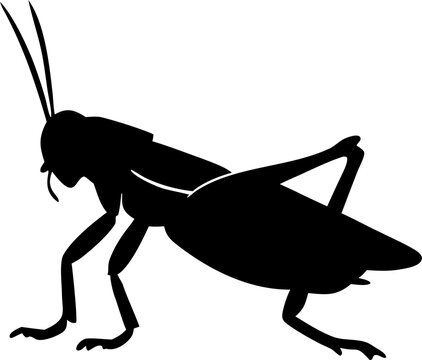 Grasshopper Silhouette SVG Vector for Nature and Wildlife Design Projects