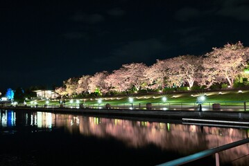 富岩運河環水公園の夜景とライトアップが水辺に映える幻想的な風景   Illuminated night view of Fugan Canal Kansui Park reflecting beautifully on the water  © 拓也 山並