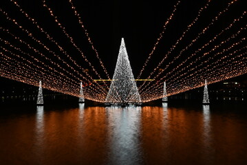 富岩運河環水公園の夜景とライトアップが水辺に映える幻想的な風景   Illuminated night view of Fugan Canal Kansui Park reflecting beautifully on the water  © 拓也 山並