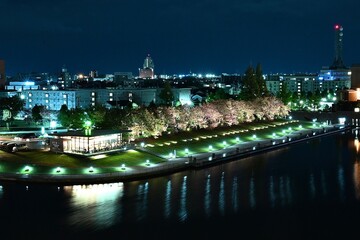富岩運河環水公園の夜景とライトアップが水辺に映える幻想的な風景   Illuminated night view of Fugan Canal Kansui Park reflecting beautifully on the water  © 拓也 山並