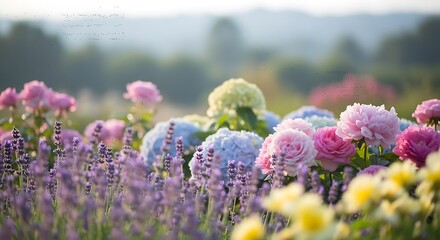Obraz premium Vibrant flowers in a colorful garden.