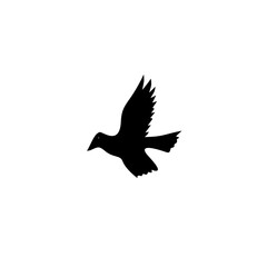 Fototapeta premium Animal silhouette