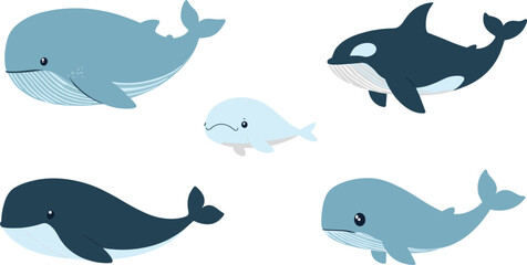 Cute Whale Vector Character Collection with Cartoon Orca Killer Whale Humpback Beluga and Blue Whale Icons for Ocean Marine Graphic Designs © SUMON
