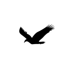 Naklejka premium Bird silhouette