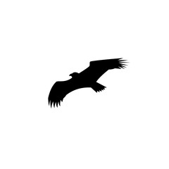Naklejka premium Bird silhouette