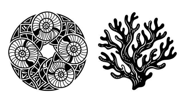 Circular ammonite fossil pattern and coral branch silhouette
