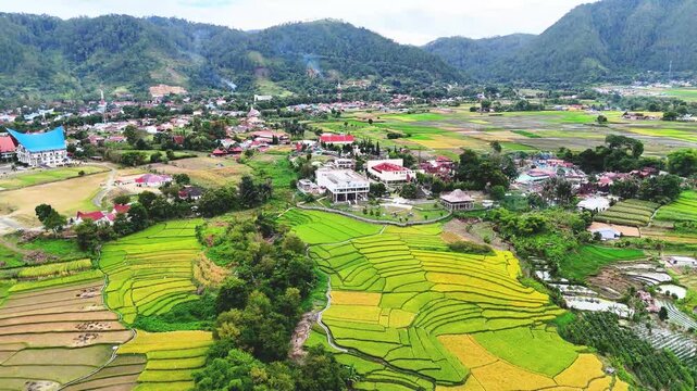 Cinematic aerial view of rice field and village around Lake Toba