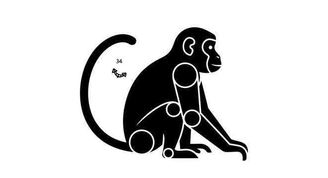 Black and white monkey illustration sitting.