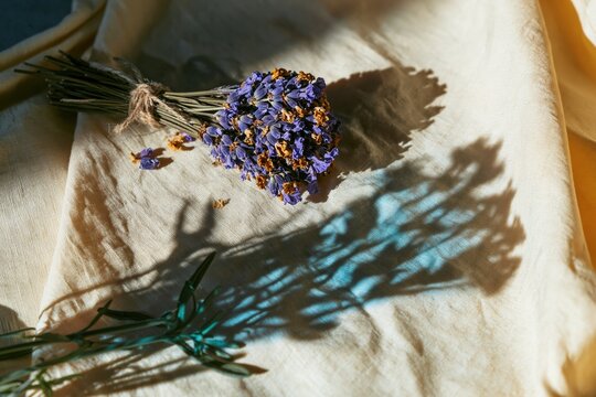 Dried lavender bundle on cream linen with a surreal blooming flower shadow, overhead view for wellness and renewal editorial content