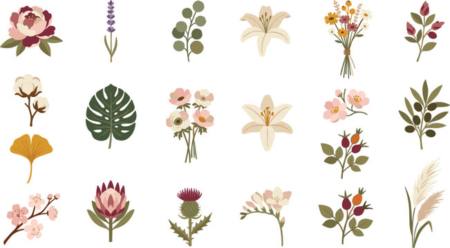 Elegant Botanical Floral Vector Element Set with Wildflowers Lavender Lily Monstera and Rose Elements for Wedding Invitations and Cosmetic Branding Designs