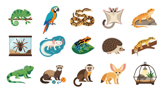 Cute Exotic Pets Collection Flat Vector Illustration - Reptiles and Mammals