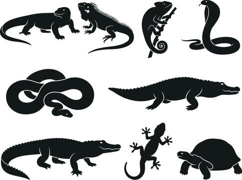 Reptiles silhouette set featuring komodo dragon, iguana, chameleon, cobra, python, alligator, gecko, and tortoise icons.