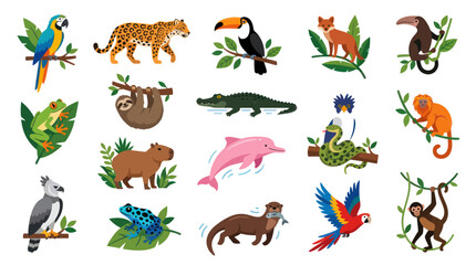 Fototapeta premium Flat Vector Illustration of Amazon Rainforest Animals and Birds