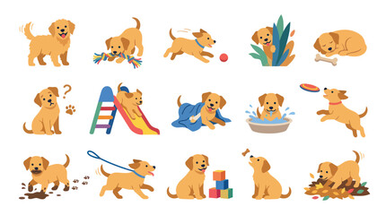 Obraz premium Cute Flat Vector Illustration Set of Golden Retriever Puppies in Playful Scenes for Pet Animals