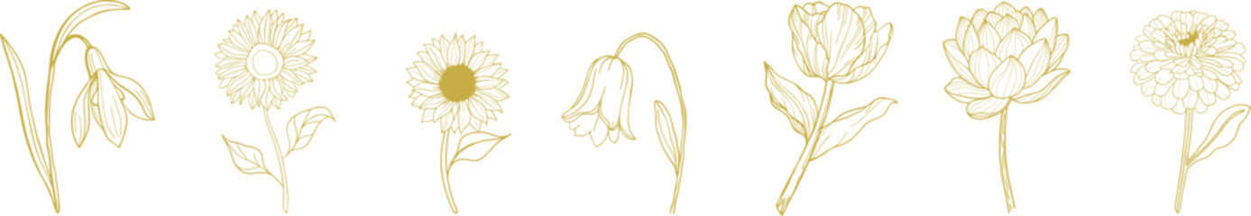 Fototapeta premium Gold flower line art set with daisy, tulip and rose outline icons, hand drawn botanical drawings for wedding invitation design, floral logo and minimal nature decoration.