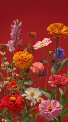 Fototapeta premium Vibrant flowers against red backdrop.