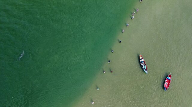 Fishing with dolphins, authentic fishing tradition in Brazil. Aerial view of the group of fishermen collaborating and fishing together with dolphin