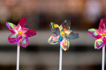 Close-up of colorful flower pinwheels with soft bokeh © HONGHU LIANG