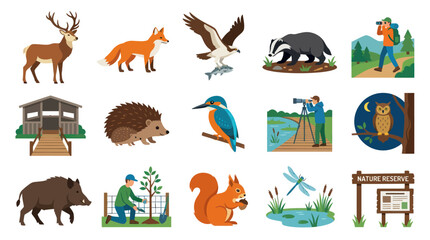 Obraz premium Nature and Wildlife Flat Vector Illustration Set with Animals, Conservation, and Outdoor Activities
