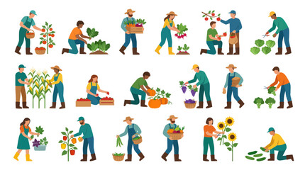 Fototapeta premium Farmers Harvesting Fresh Vegetables and Fruits, Flat Vector Illustration