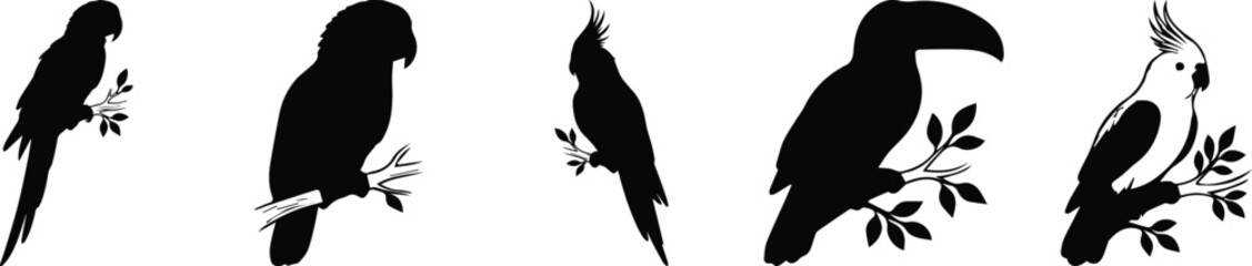 Obraz premium Tropical parrot silhouettes collection, set of 5 exotic bird vector icons on branches, black macaw and toucan wildlife shapes for nature design