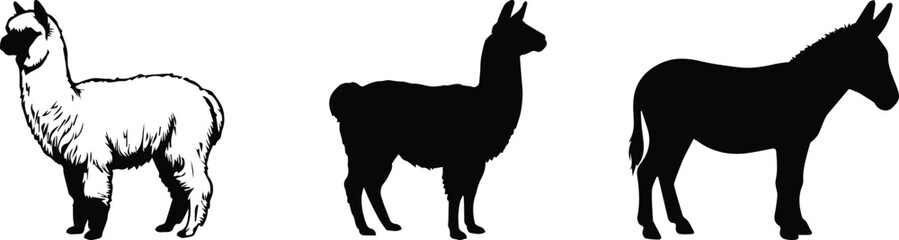 Obraz premium Llama and donkey animal silhouettes, black and white farm livestock vector set, hand drawn alpaca and burro illustrations for rustic branding