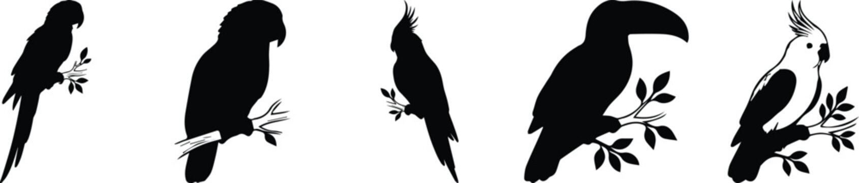 Tropical parrot silhouettes collection, set of 5 exotic bird vector icons on branches, black macaw and toucan wildlife shapes for nature design