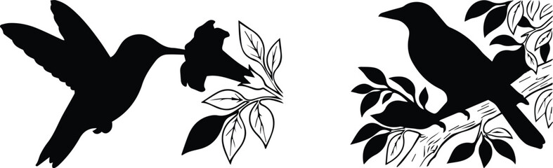 Obraz premium Black bird silhouette collection, hummingbird feeding on flower vector, songbird perched on tree branch, minimalist nature wildlife icons