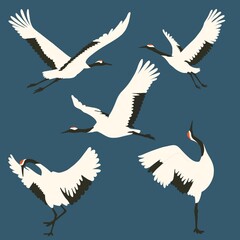 Fototapeta premium Asian Crane Printable Art Collection