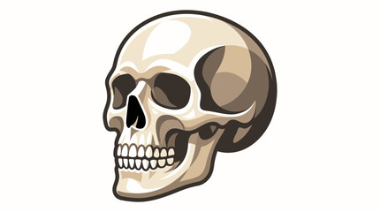 Fototapeta premium Realistic Human Skull Illustration for Medical and Educational Use.
