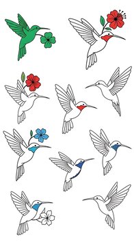 A collection of eight hummingbirds with flowers