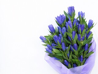 敬老の日の定番花 紫色のりんどう（竜胆）の花束を白い背景に置いた秋の花 片側に余白