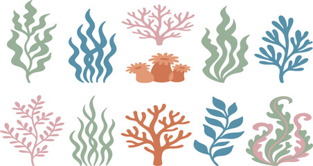  Colorful Underwater Coral Reef and Seaweed Vector Element Set Featuring Pastel Kelp Sea Anemone and Marine Aquatic Plants for Ocean Nature Graphic Designs © AnjueManAra