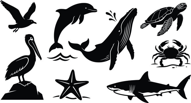 Marine life vector silhouette collection featuring whale, dolphin, shark, sea turtle, crab, and coastal birds