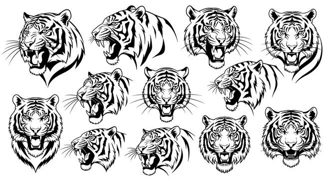 A collection of 10 black and white tiger head illustrations