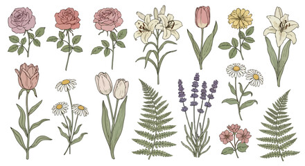 Vintage botanical flower collection, hand drawn floral vector set with roses and lilies, elegant garden blossoms and fern leaves for wedding invitations © stcok victer cenva