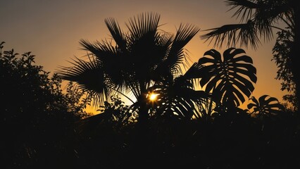 Fototapeta premium Tropical Sunset Silhouette with Palm Trees and Monstera Leaves.