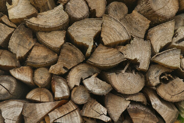 Fototapeta premium Stacked Firewood Logs Close Up