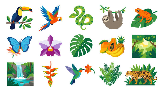 Amazon Rainforest Wildlife and Flora Flat Vector Icons