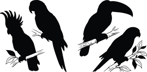 Obraz premium Tropical bird silhouettes set, black parrot and toucan vector icons, exotic cockatoo and macaw bird shapes on branches for nature design