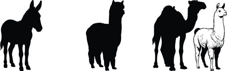Obraz premium Black animal silhouettes collection, donkey alpaca and camel vector shapes, farm and desert livestock icons for nature design