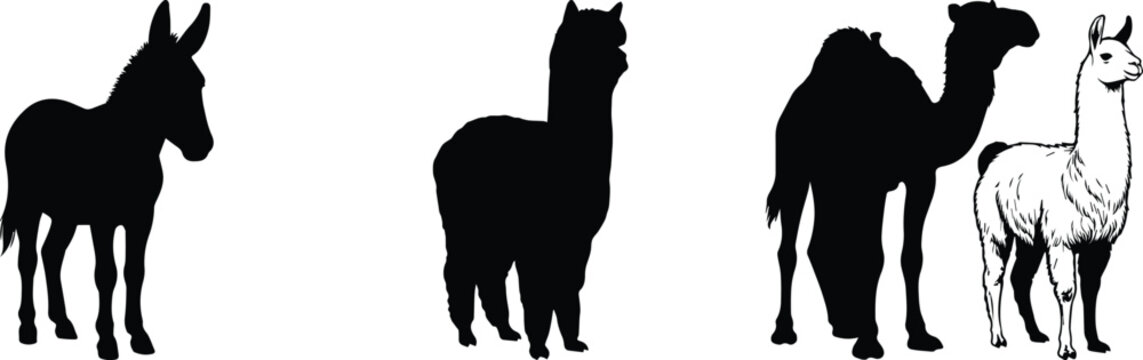 Black animal silhouettes collection, donkey alpaca and camel vector shapes, farm and desert livestock icons for nature design