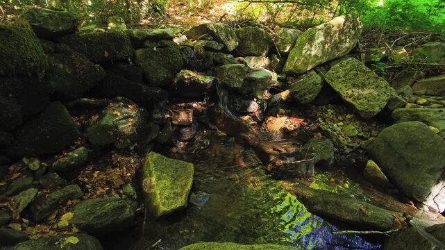 Small shaded forest pool among mossy boulders and flat stones