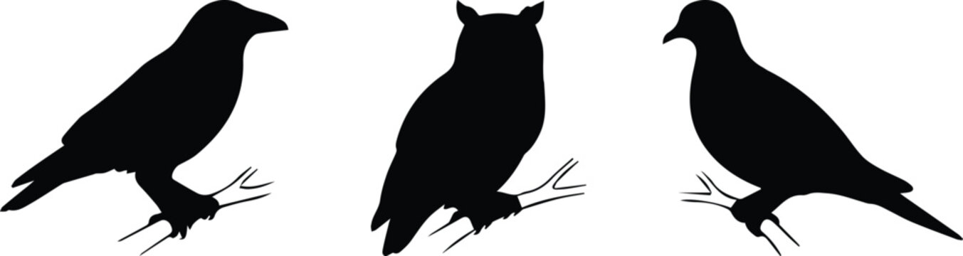 Black bird silhouettes on branches, set of 3 vector bird icons including crow owl and pigeon, wild animal profile shapes for nature design isolated PNG with Transparent Background