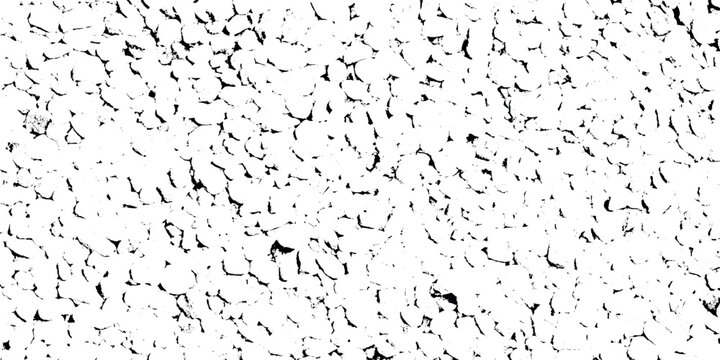 Black and white vector grunge texture with cracked pattern background design element