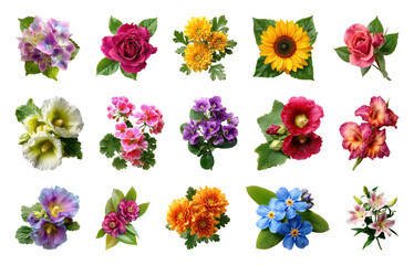 Fototapeta premium PNG Collection of colorful floral stickers isolated on transparent background